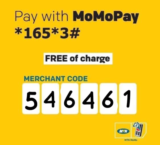 MTN Mobile Money Payment
